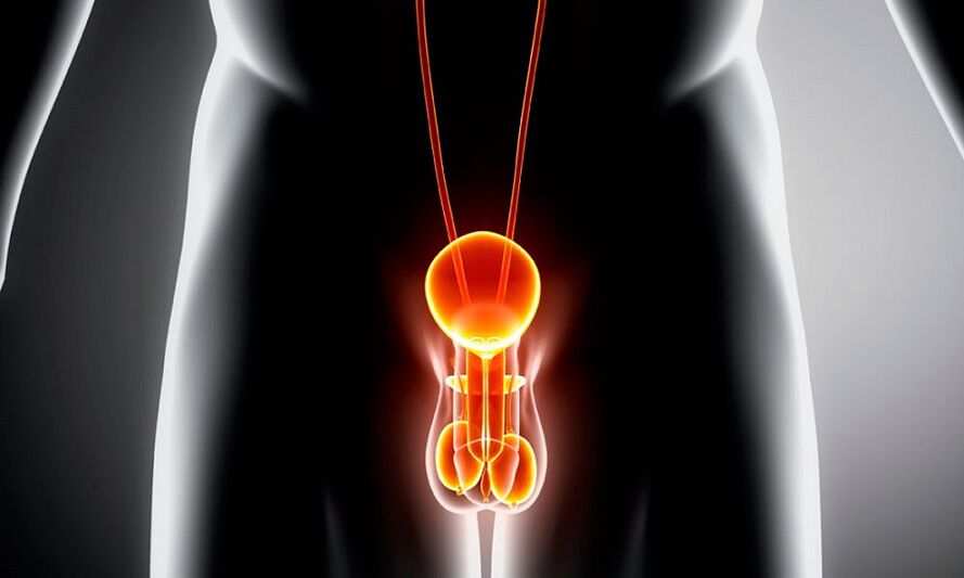 iekaista prostatīta ģeniturinārā sistēma